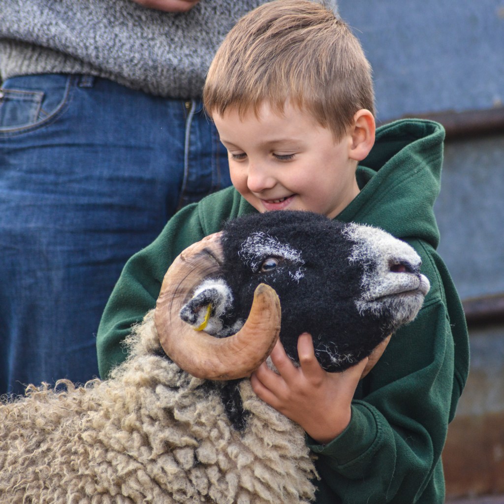 George Bland with his winning Swaledale tup lamb at Hawes Auction Mart October 2016