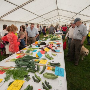 Malham Show Local Produce 