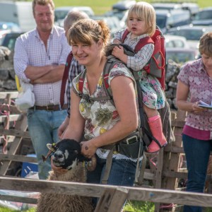 Malham Show, showing Swaledales
