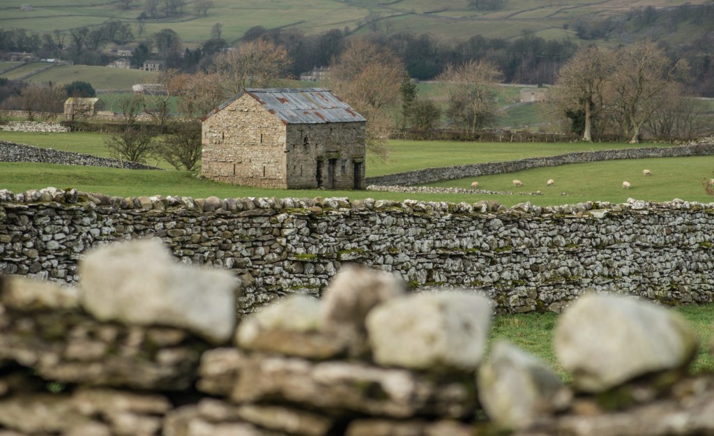 Walls and Barns : looking into Wensleydale from Thornton Rust, Yorkshire Dales. Photograph Rob Fraser