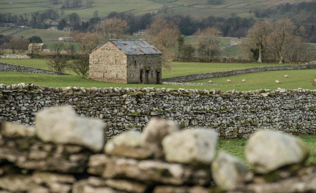Wensleydale walls and barns