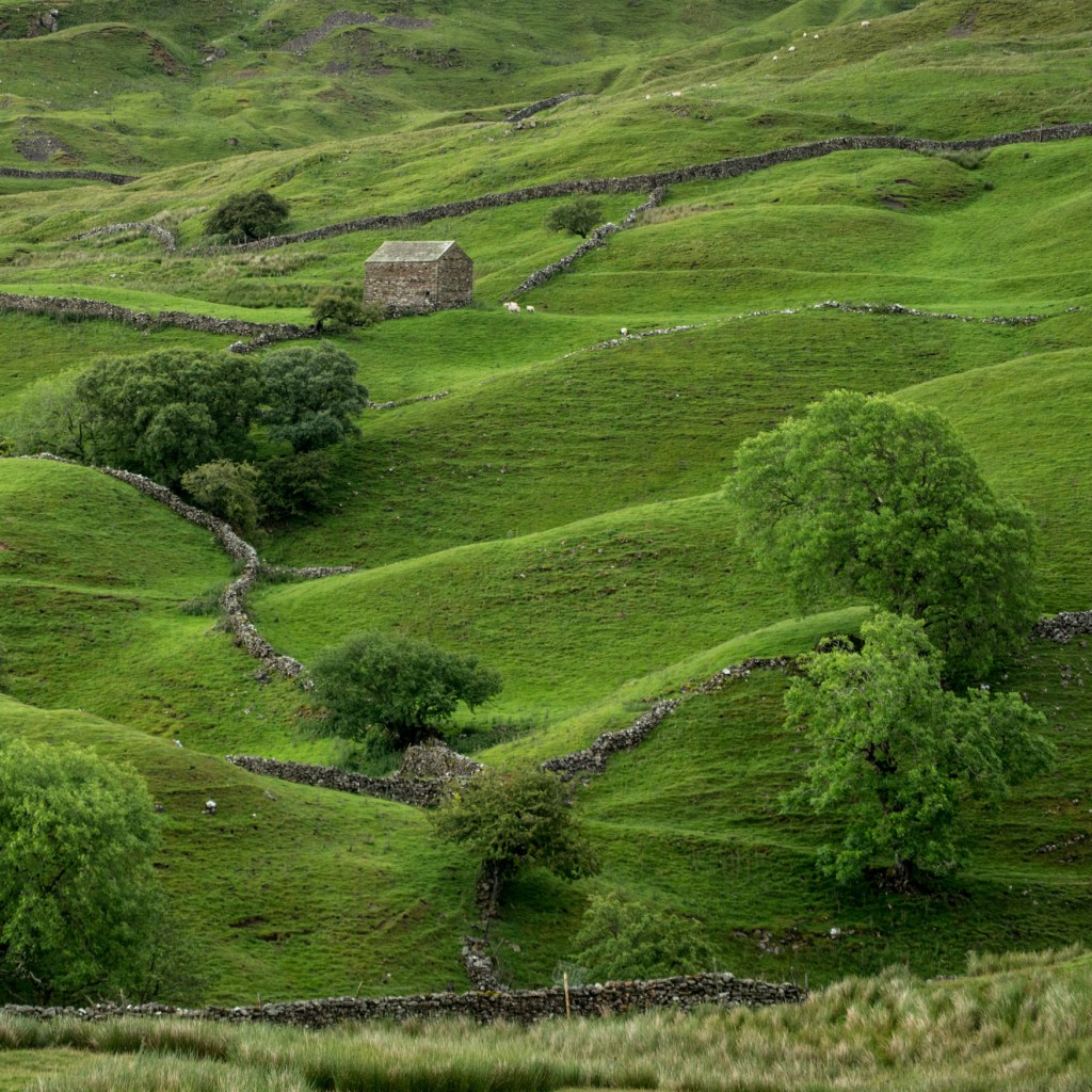 Field barn above Muker, Swaledale