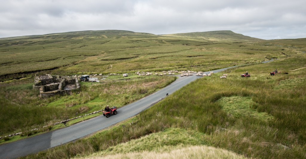 gathering down from the fells into Becks Meeting