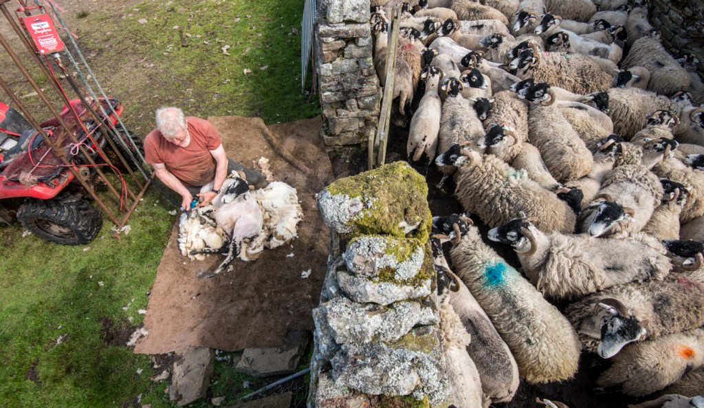 Raymond Calvert starting the shering using the power from the quad bike battery
