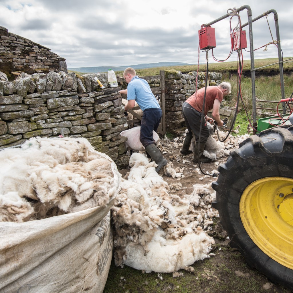 Two clippers being powered by the tractor battery