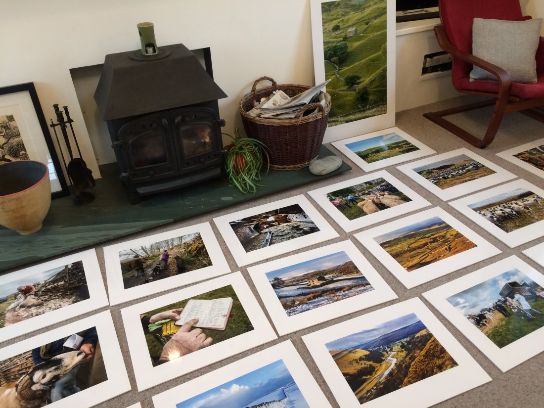 Voices from the Land Exhibition prints laid out